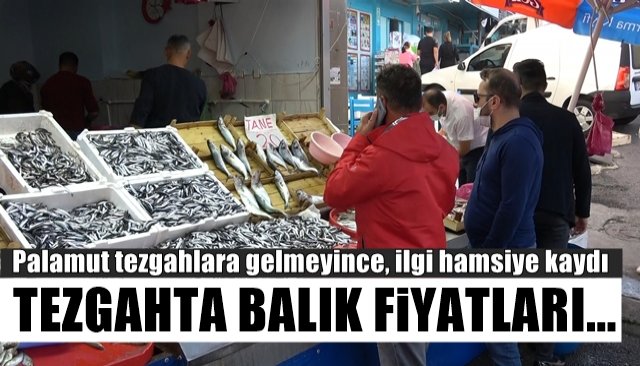 Palamut tezgahlara gelmeyince, ilgi hamsiye kaydı... TEZGAHTA  FİYATLAR NASIL?