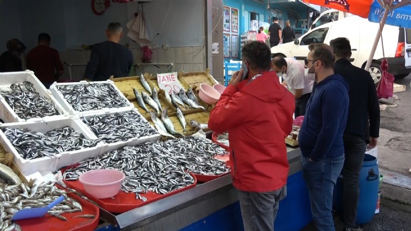 Palamut tezgahlara gelmeyince, ilgi hamsiye kaydı... TEZGAHTA  FİYATLAR NASIL? - 4