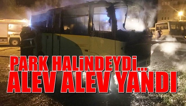 Park halinde alev alev yandı