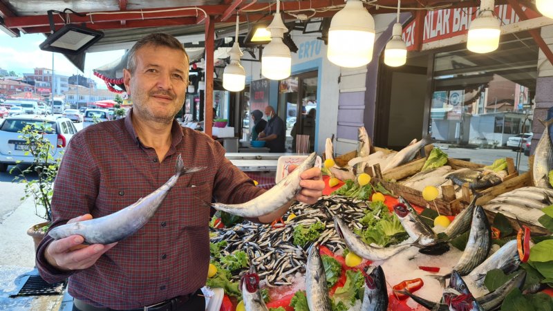 Tezgahta palamut bollaştı, FİYATLAR DÜŞÜYOR - 1