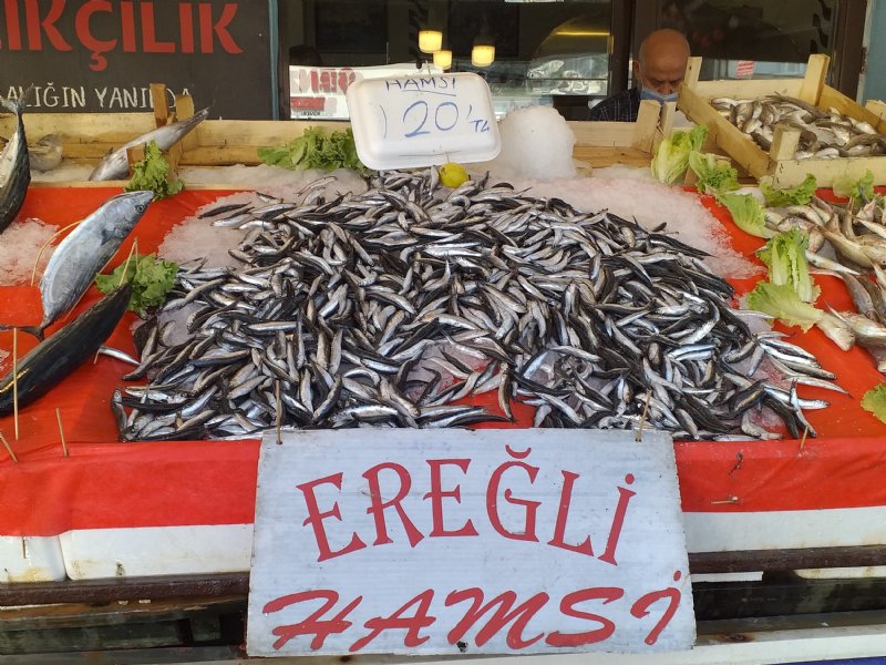 Umut Karadeniz hamsisinde… - 2