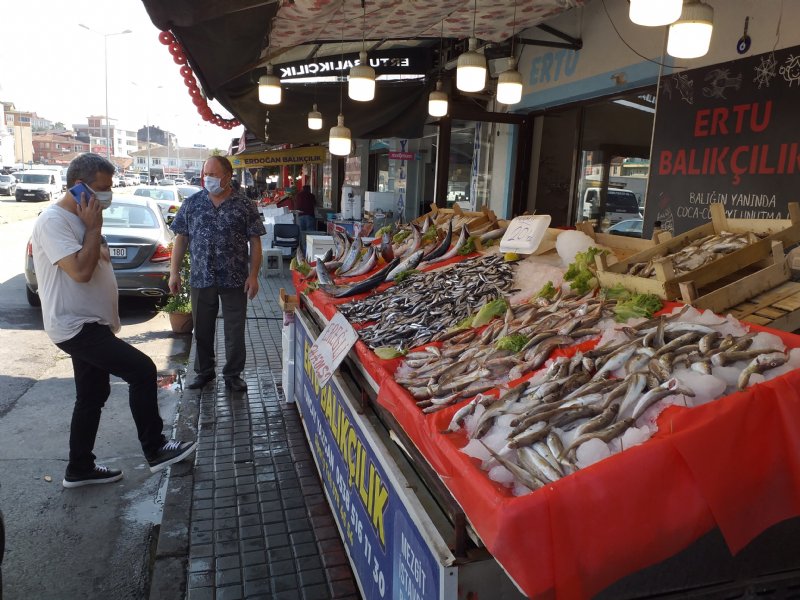 Umut Karadeniz hamsisinde… - 4