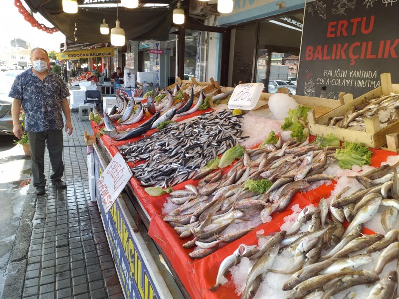 Umut Karadeniz hamsisinde… - 5