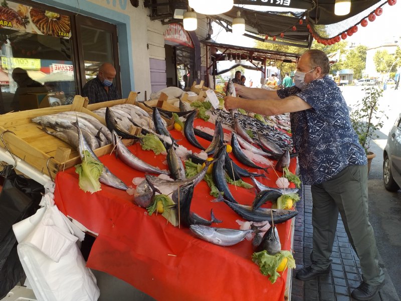 Umut Karadeniz hamsisinde… - 6