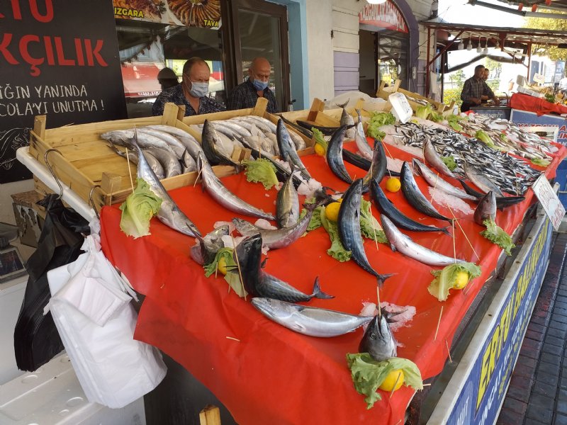 Umut Karadeniz hamsisinde… - 7