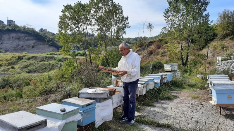 ZONGULDAK EKONOMİSİ BALLANDI… - 5