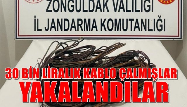 30 bin liralık kablo çalan hırsızlar yakalandı