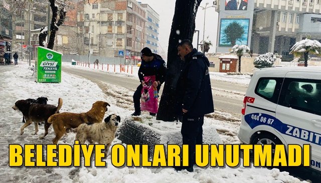 BELEDİYE ONLARI UNUTMADI