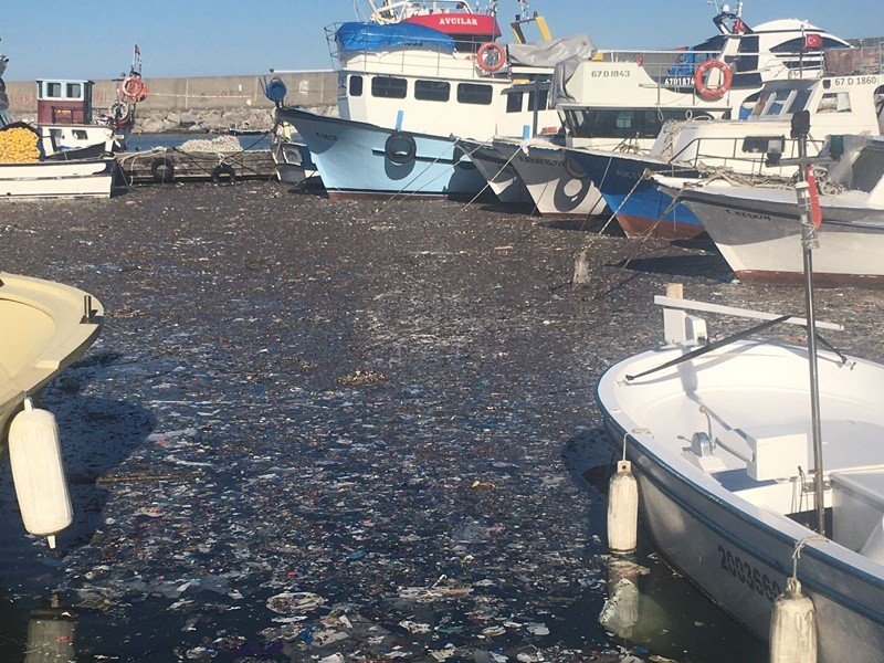 Büyük miktarda plastik atık limanı kapladı… İNSAN YAPIMI MÜSİLAJ! - 1