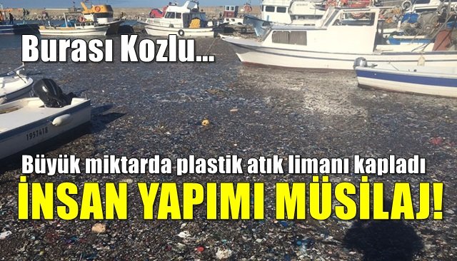 Büyük miktarda plastik atık limanı kapladı… İNSAN YAPIMI MÜSİLAJ!