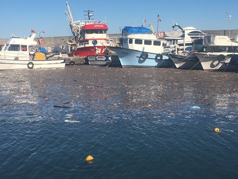 Büyük miktarda plastik atık limanı kapladı… İNSAN YAPIMI MÜSİLAJ! - 3