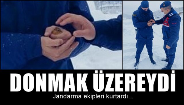 DONMAK ÜZEREYDİ…