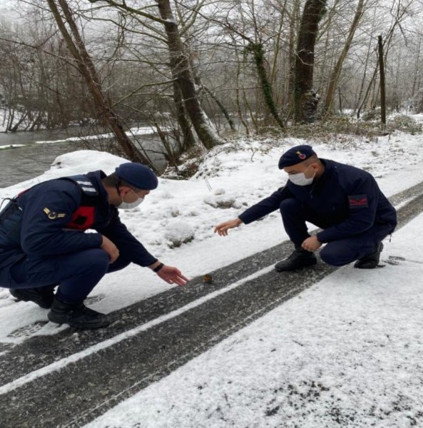 Donmak üzereyken buldular, elleriyle ısıtıp beslediler… JANDARMADAN ŞEFKAT GÖREVİ - 3