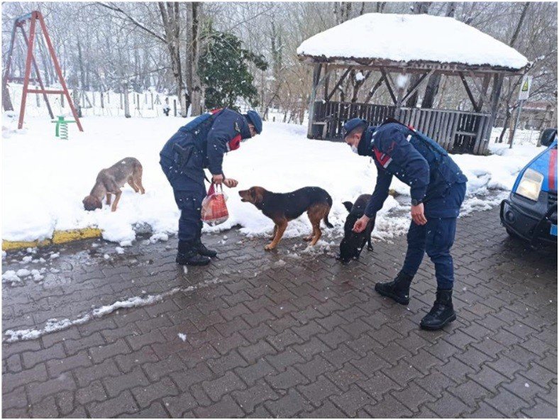 Jandarmadan şefkat dokunuşları… - 2