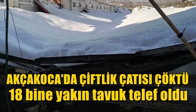  Kara dayanamayan çiftlik çatısı çöktü: 18 bine yakın tavuk telef oldu