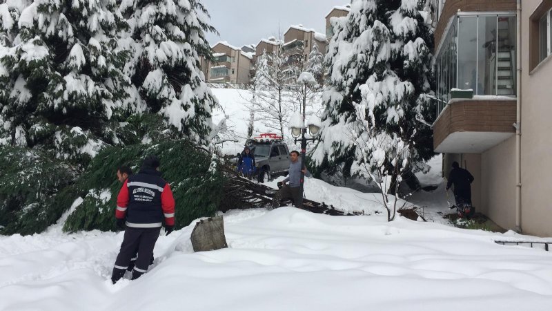 KARDA DEVRİLEN AĞAÇ SİTE SAKİNLERİNİ KORKUTTU - 2