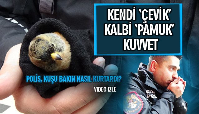 KENDİ ‘ÇEVİK’ KALBİ ‘PAMUK’ KUVVET