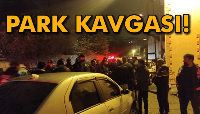 PARK KAVGASI!