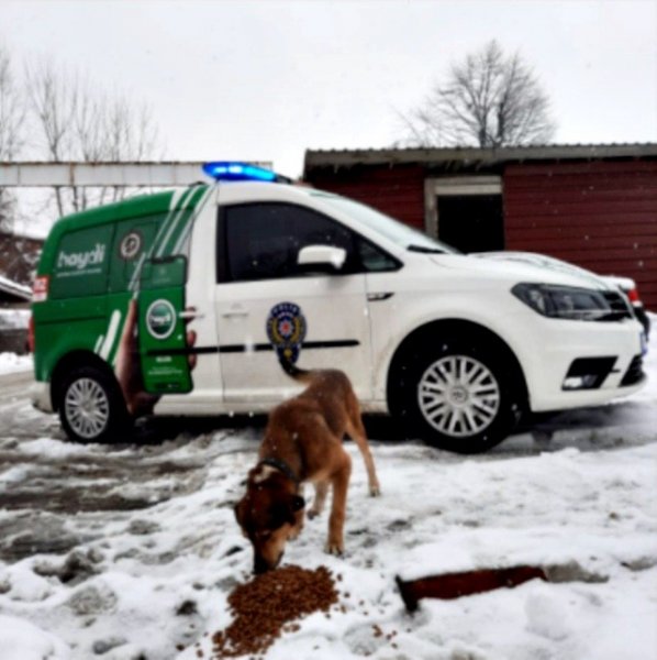 POLİS, SOKAK HAYVANLARI İÇİN GÖREV BAŞINDA - 4