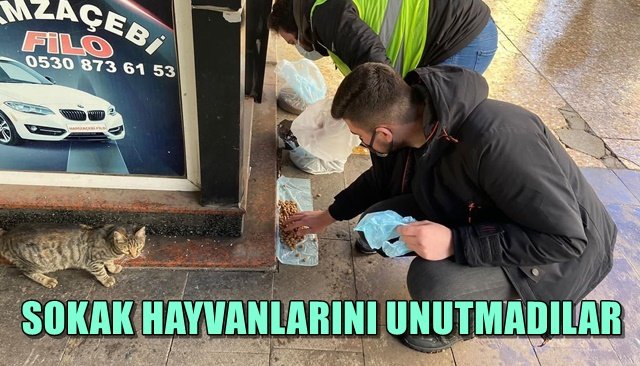 SOKAK HAYVANLARINI UNUTMADILAR