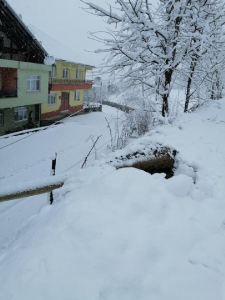 Telefon direği devrildi.. Araç su kanalına düştü... - 2