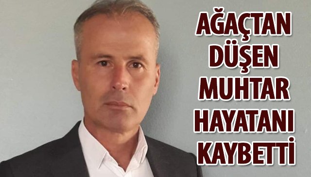 AĞAÇTAN DÜŞEN MUHTAR HAYATANI KAYBETTİ