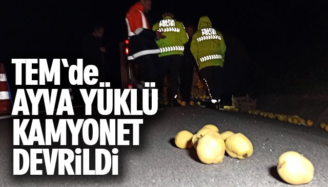 AYVA YÜKLÜ KAMYONET DEVRİLDİ