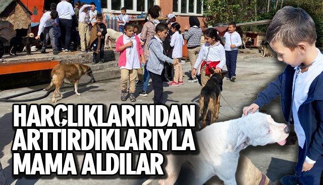 HARÇLIKLARINDAN ARTTIRDIKLARIYLA MAMA ALDILAR