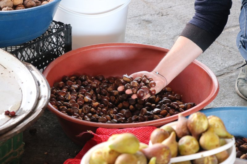 Kestane pazara indi, kilosu 45 TL - 2