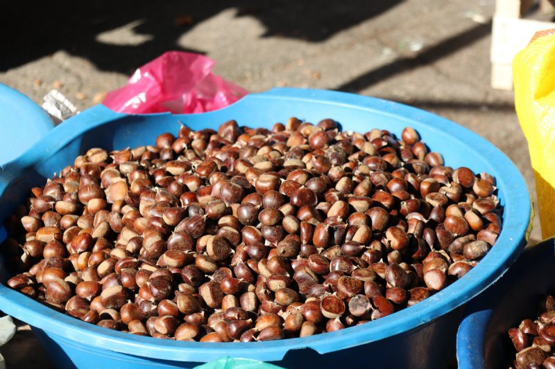 Kestane pazara indi, kilosu 45 TL - 3