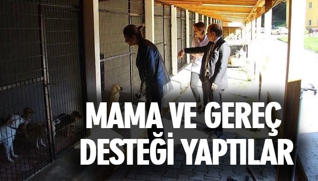 MAMA VE GEREÇ DESTEĞİ YAPTILAR