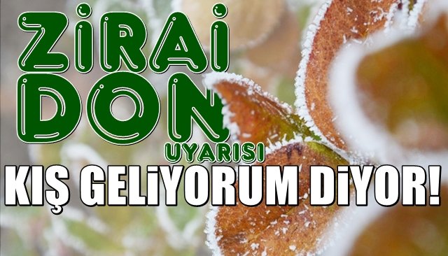  Meteorolojiden Zirai Don uyarısı… KIŞIN İLK İŞARETİ!