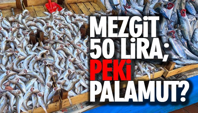 MEZGİT 50 LİRA; PEKİ PALAMUT? 