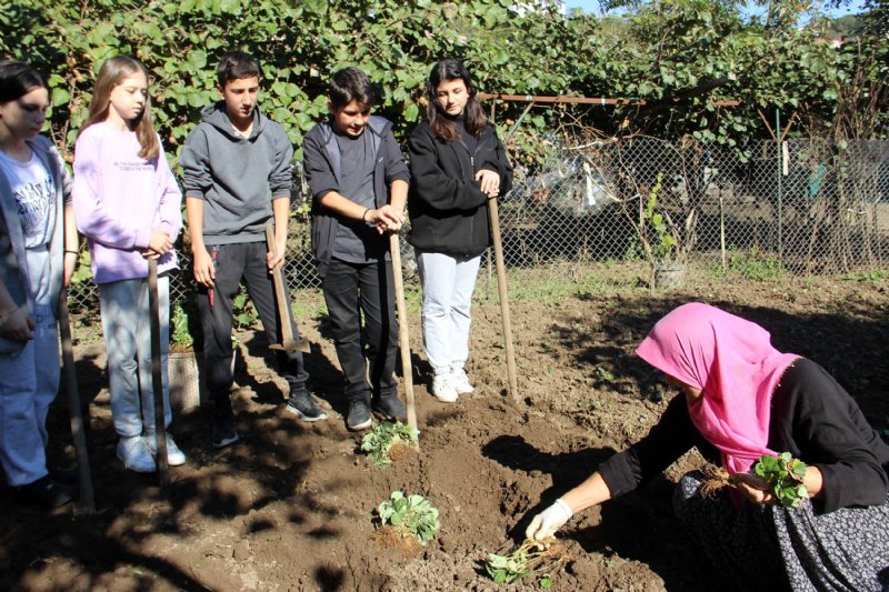 ÖĞRENCİLER ÇAPA YAPIP ÇİLEK DİKTİ - 6