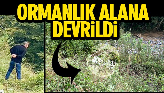 ORMANLIK ALANA DEVRİLDİ