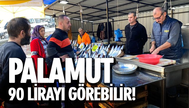 PALAMUT 90 LİRAYI GÖREBİLİR!