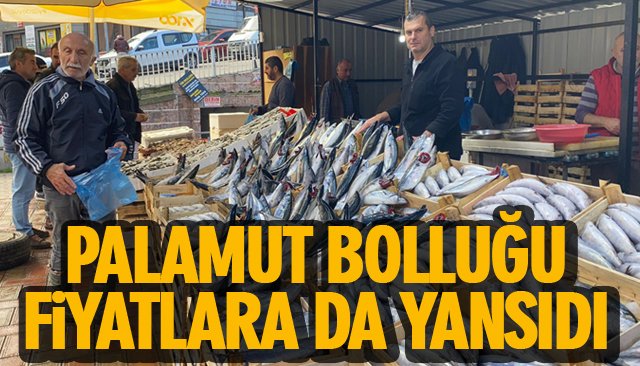 PALAMUT BOLLUĞU FİYATLARA DA YANSIDI