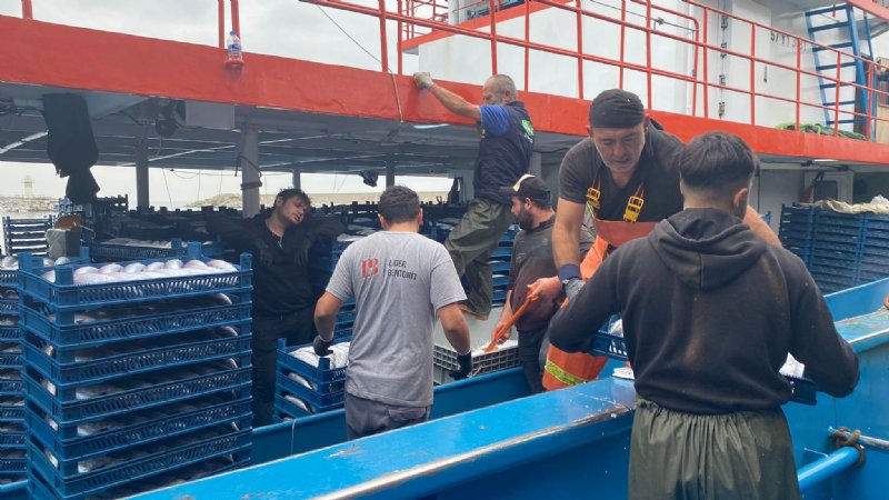 RESMEN FIŞKIRDI; BİR AVDA 10 BİN KASA PALAMUT YAKALANDI - 2