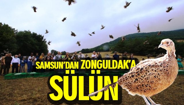 SAMSUN’DAN ZONGULDAK’A SÜLÜN