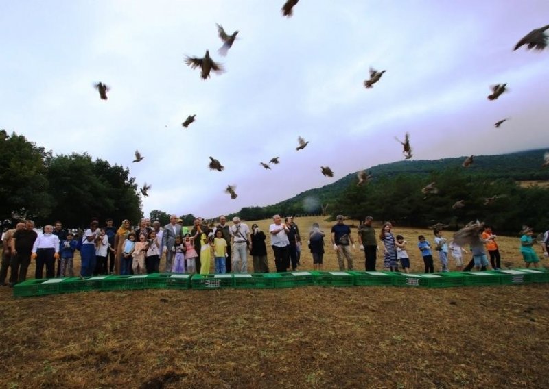 SAMSUN’DAN ZONGULDAK’A SÜLÜN - 1