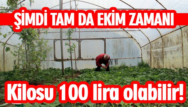 ŞİMDİ TAM DA EKİM ZAMANI 