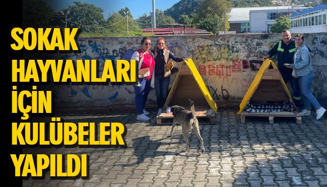 SOKAK HAYVANLARI İÇİN KULÜBELER YAPILDI