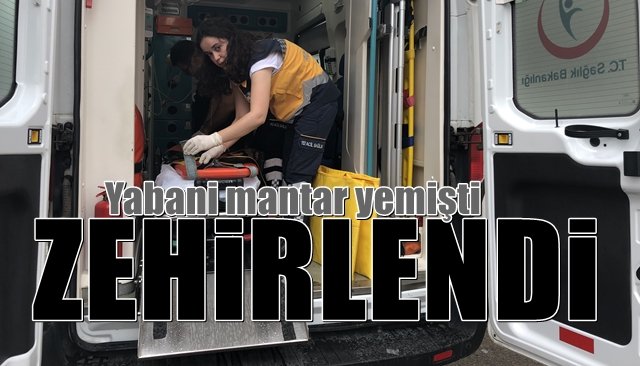 Yabani mantar yedi… ZEHİRLENDİ