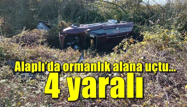 Alaplı’da ormanlık alana uçtu... 4 yaralı