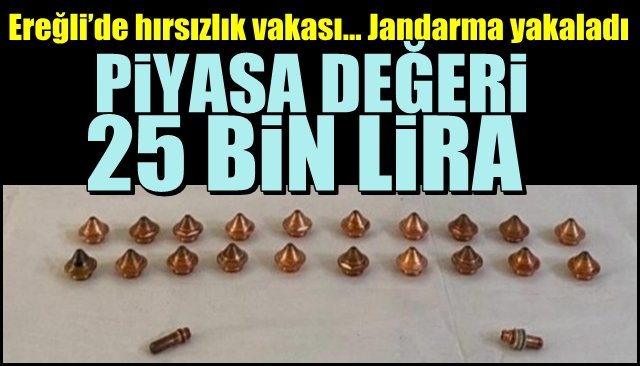 Ereğli’de hırsızlık vakası… Jandarma yakaladı… PİYASA DEĞERİ 25 BİN LİRA