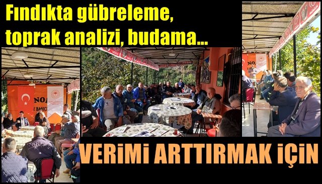 Fındıkta gübreleme, toprak analizi, budama… AMAÇ VERİMİ ARTTIRMAK