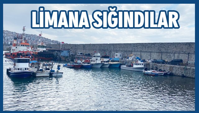 LİMANA SIĞINDILAR