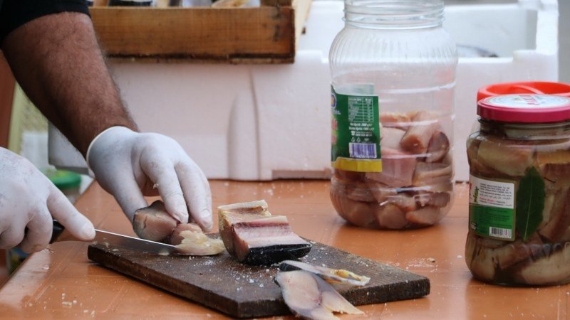 PALAMUT GELENEKSEL YOLLA NASIL SAKLANIR? - 2