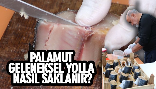 PALAMUT GELENEKSEL YOLLA NASIL SAKLANIR?