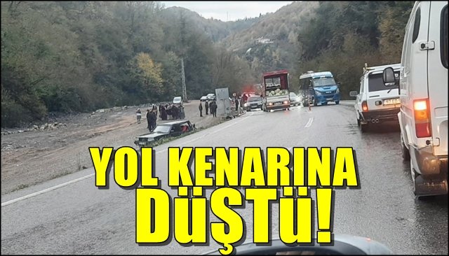 Yol kenarına düştü 